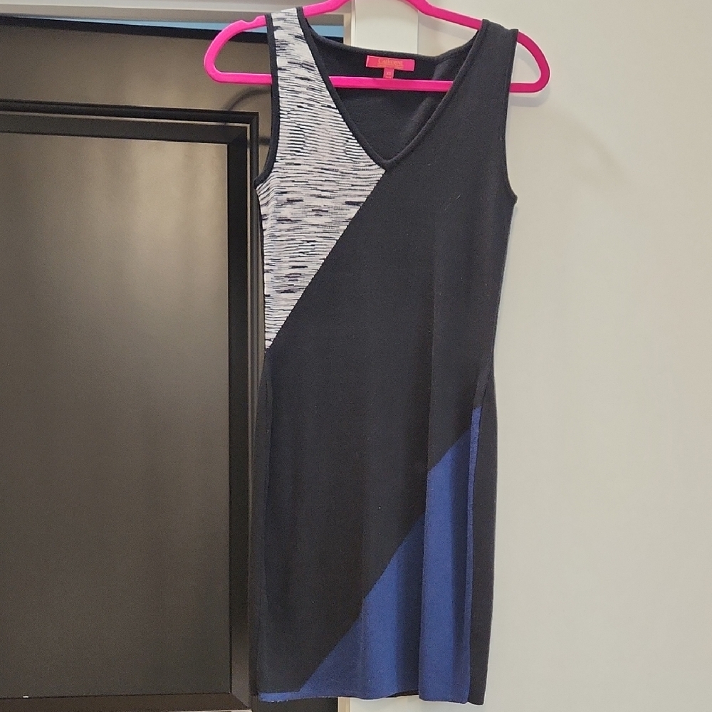 Sleeveless Black & Navy Colorblock V-Neck Dress